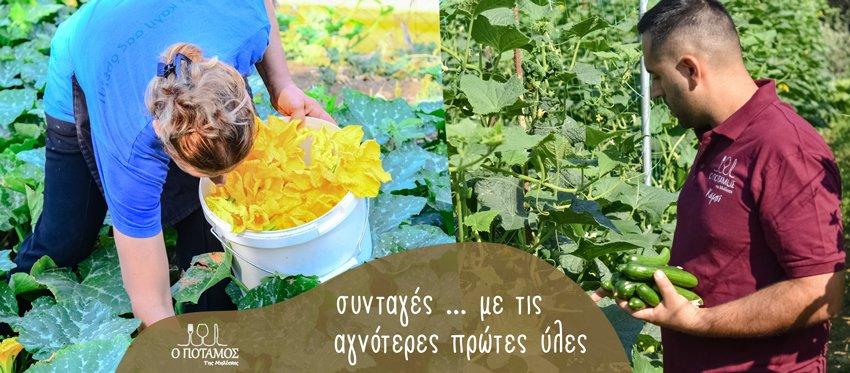 Αγνές πρώτες ύλες κατευθείαν από το περιβόλι στο τραπέζι με την καλύτερη διαχείριση με νόστιμες συνταγές στην ταβέρνα Ο Ποταμός της Μηλίτσας