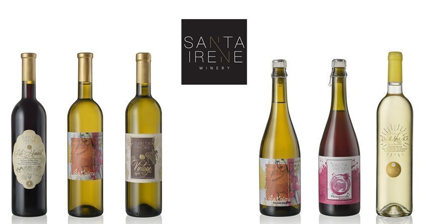 6 νέες ετικέτες Κρασιού από το βραβευμένο Οινοποιείο Santa Irene Winery